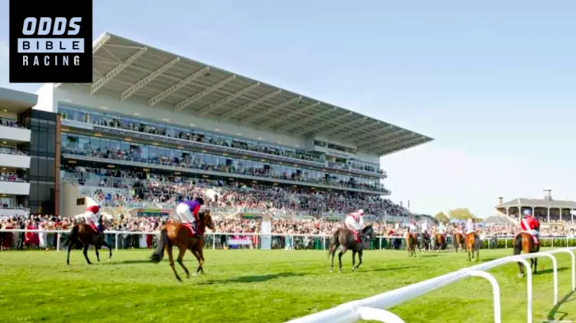 Oddsbible Racing: Danny Archer's Monday Tips From Brighton, Newton Abbot & Perth
