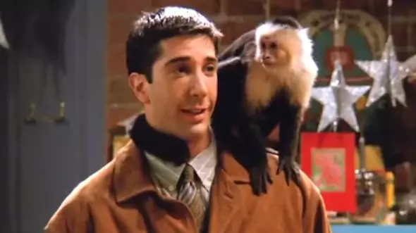 Monkey Who Played Marcel In Friends Is Returning In New Series