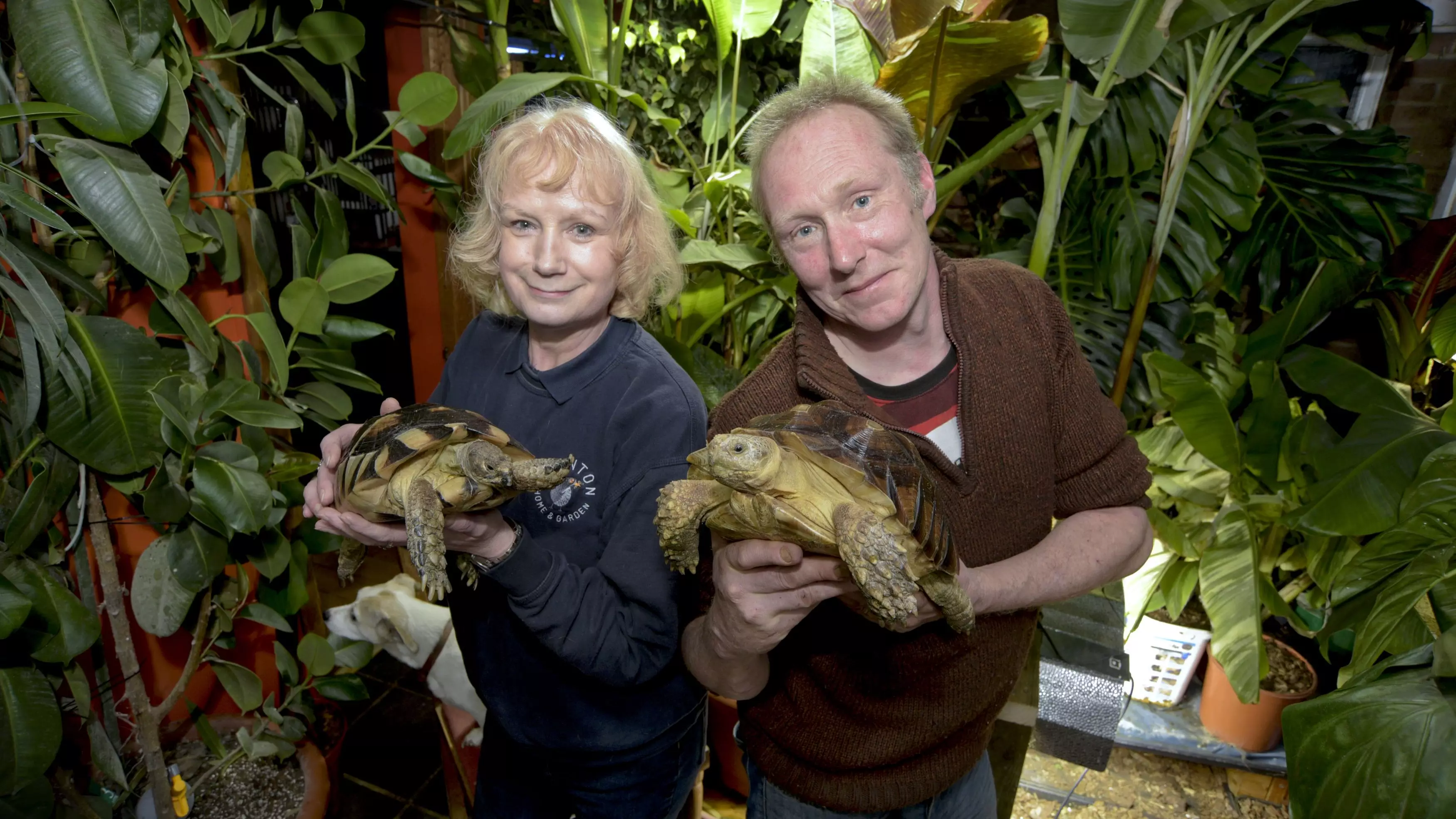 Couple Complain They're Kept Awake By Sounds Of Mating Animals In £22,000 Home Zoo
