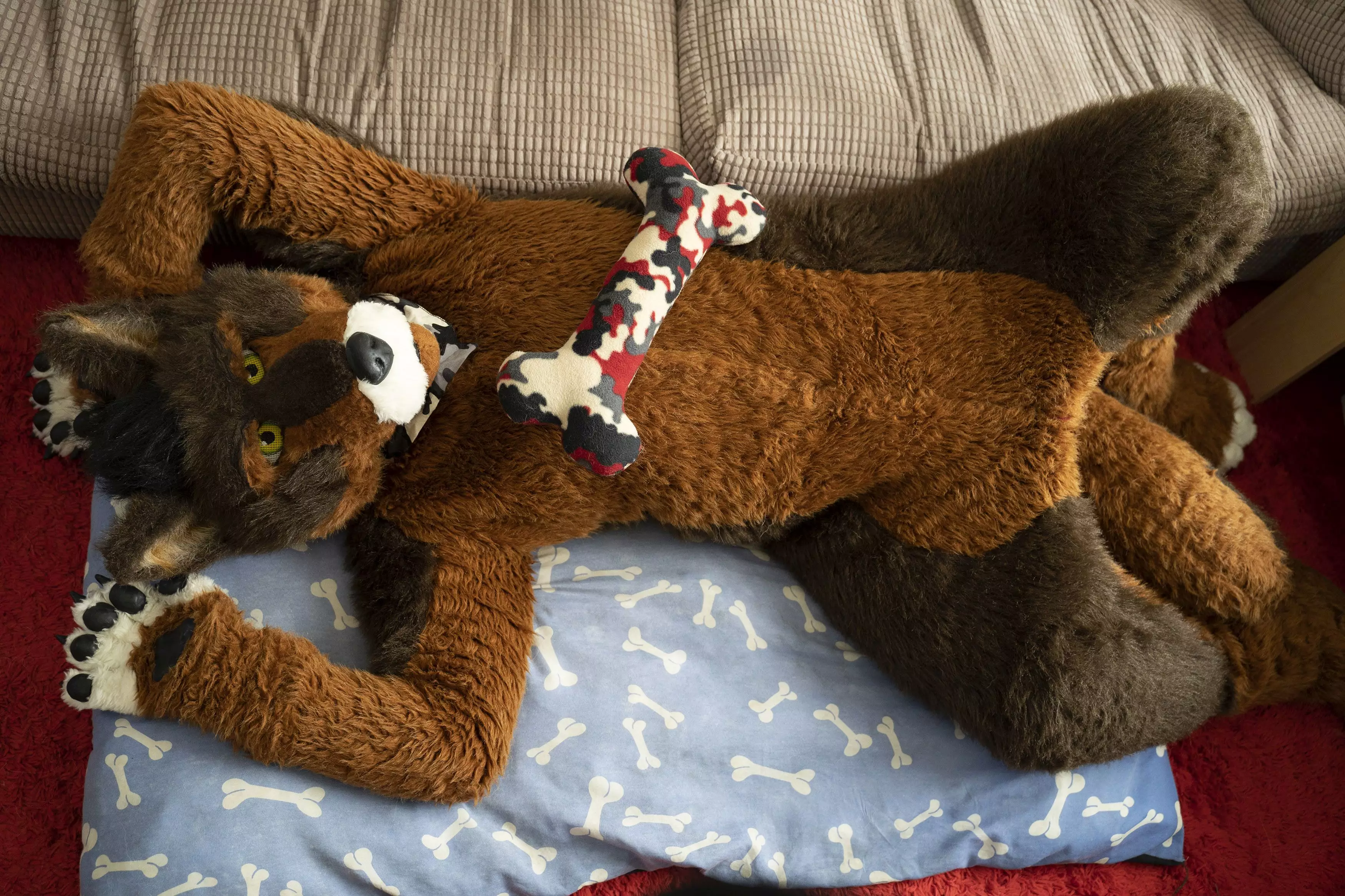 Kaz relaxing in his custom-made fur suit.