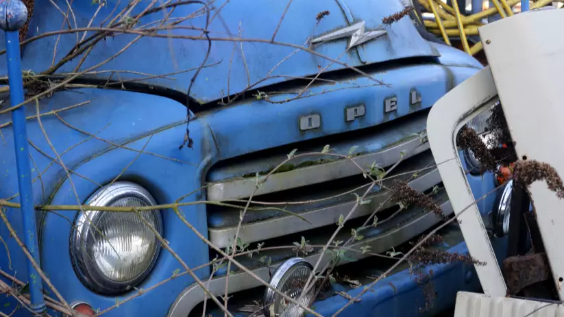 Man Forgot Where He Parked His Car And Took Two Decades To Find It