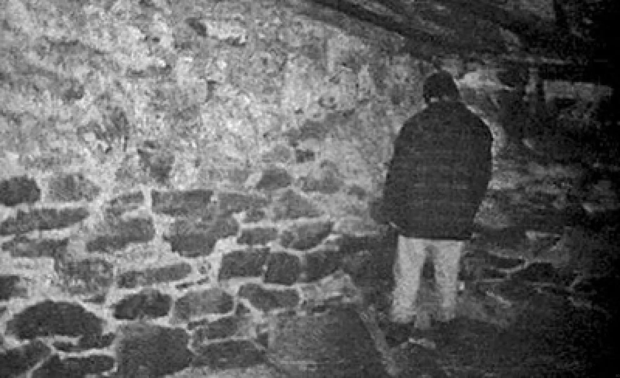 The Blair Witch Project sees the student filmmakers suffer (