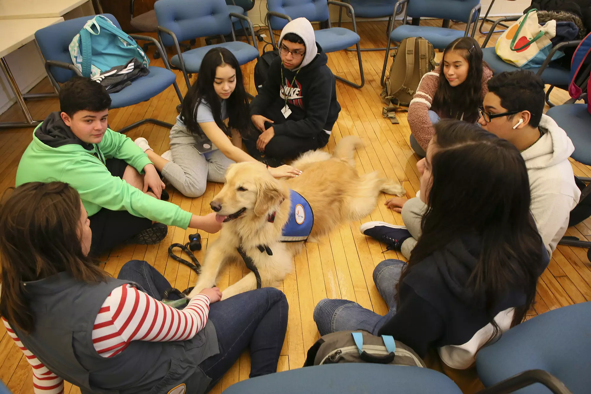 Kids play with a therapy dog to calm their nerves and anxiety.
