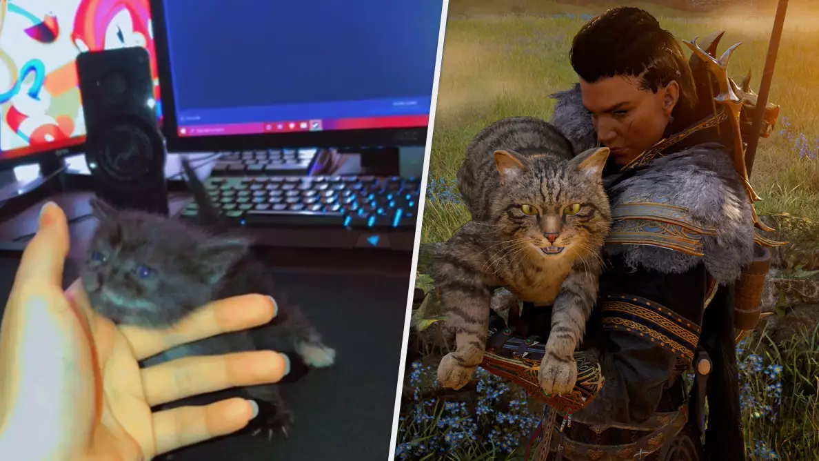 PC User Asks Internet To Help Name New "Gamer Kitty", Chaos Ensues
