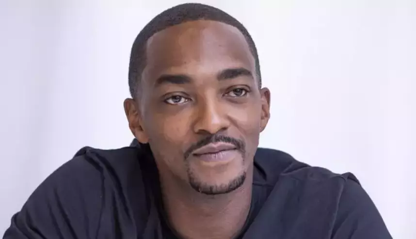 Anthony Mackie will return as Falcon.
