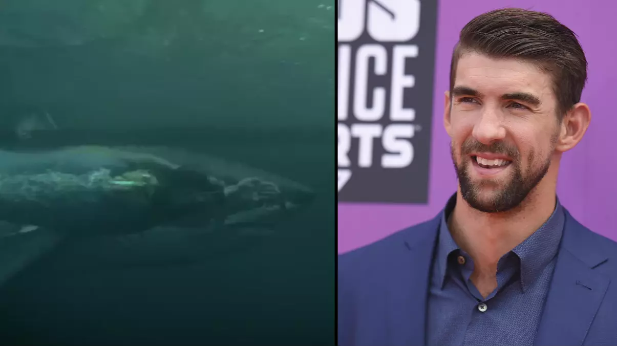 Michael Phelps Finally Raced A Shark But Some Viewers Weren't Happy