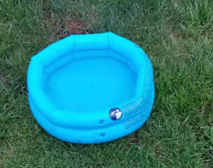 This woman's son is going to struggle cooling off in this paddling pool (