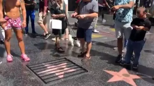 Donald Trump's Hollywood Star Put Behind Bars By Repeat Offender