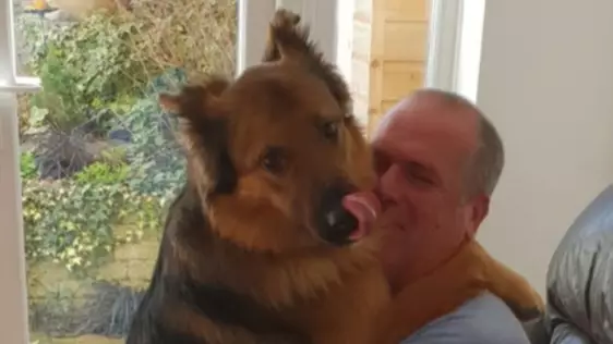 Dad Rescues Dogs From Kill Shelters To Help With His Empty Nest Syndrome