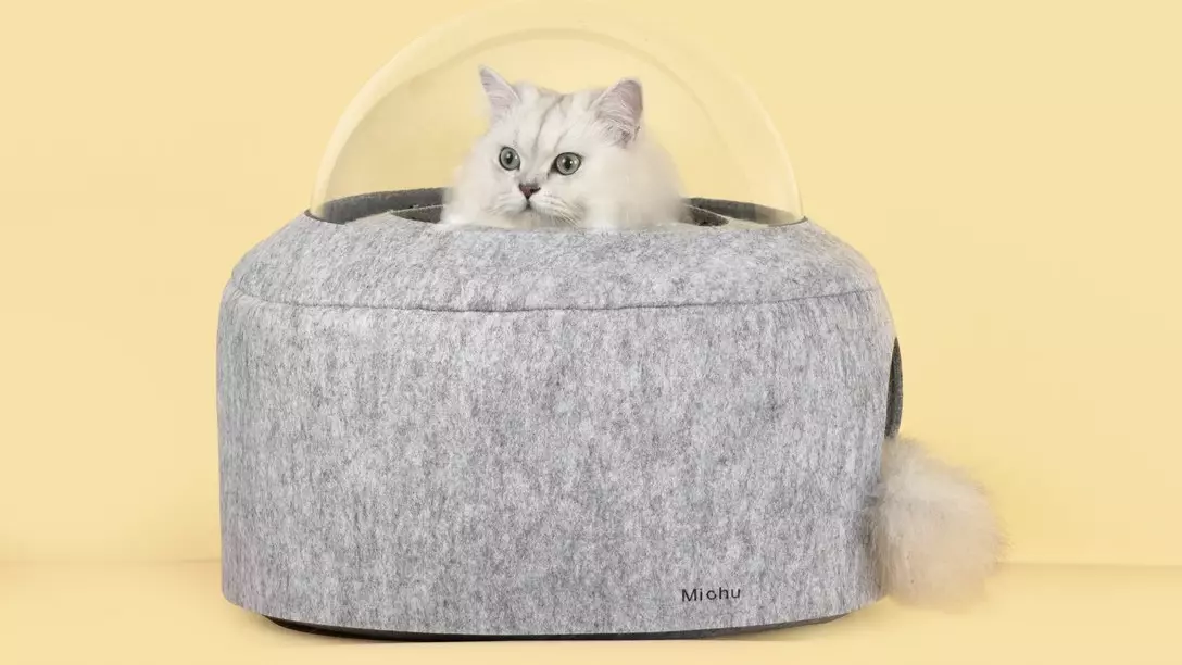 Aussie Company Has Started Selling Adorable And Bougie Cat Chairs