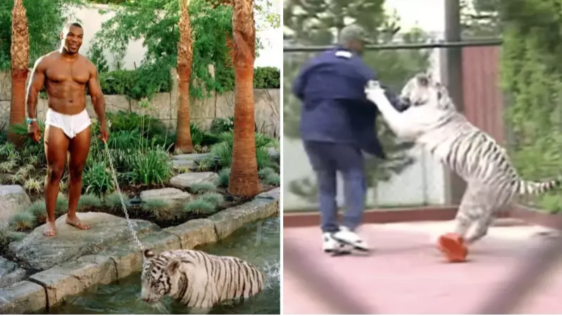 Mike Tyson Shares Crazy Story Of When His Pet Tiger Attacked A Trespasser