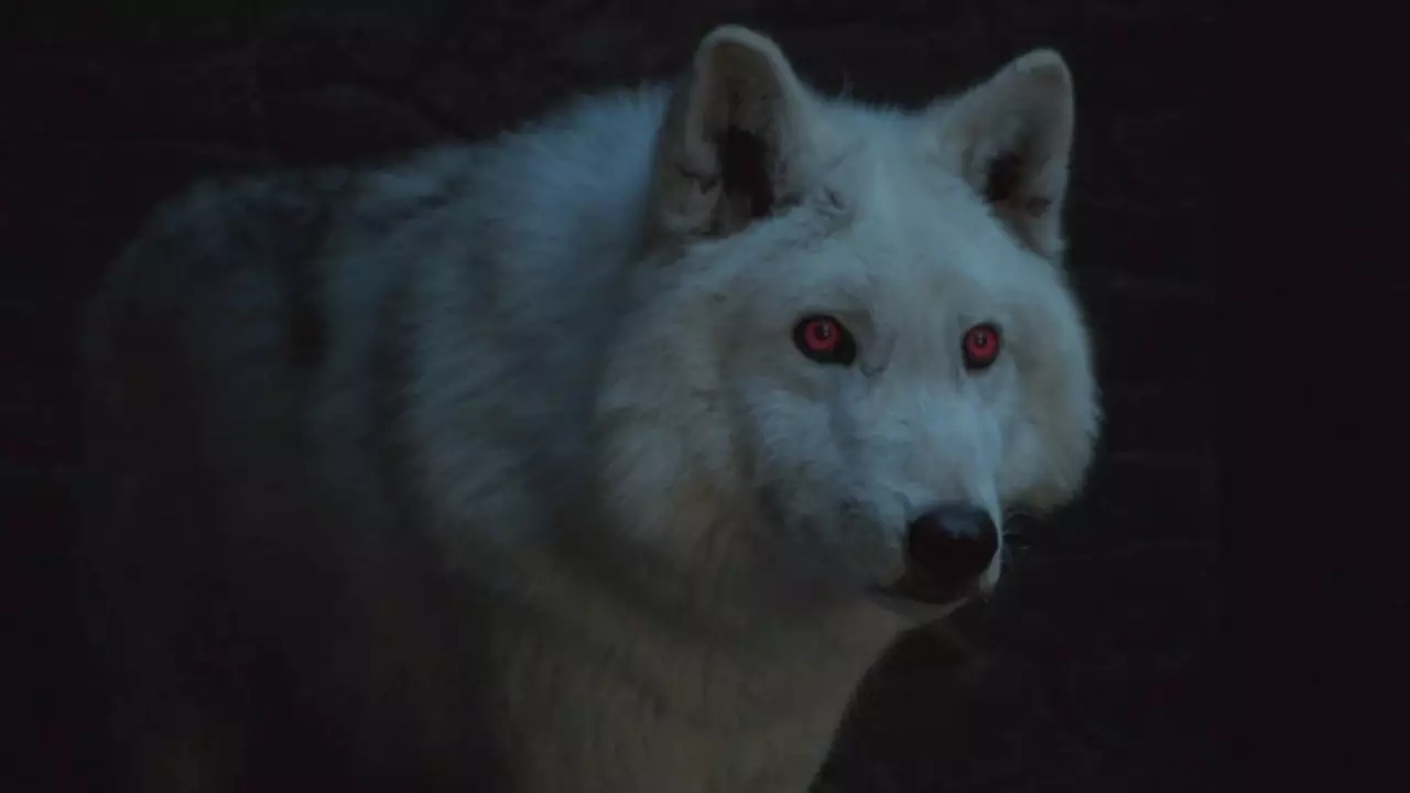 Game Of Thrones Angry That Jon Snow Didn't Say Goodbye To Ghost