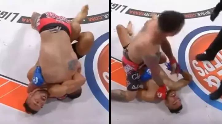 Referee Doesn't Believe Fighter Is Unconscious, Fighter On Top Proves It