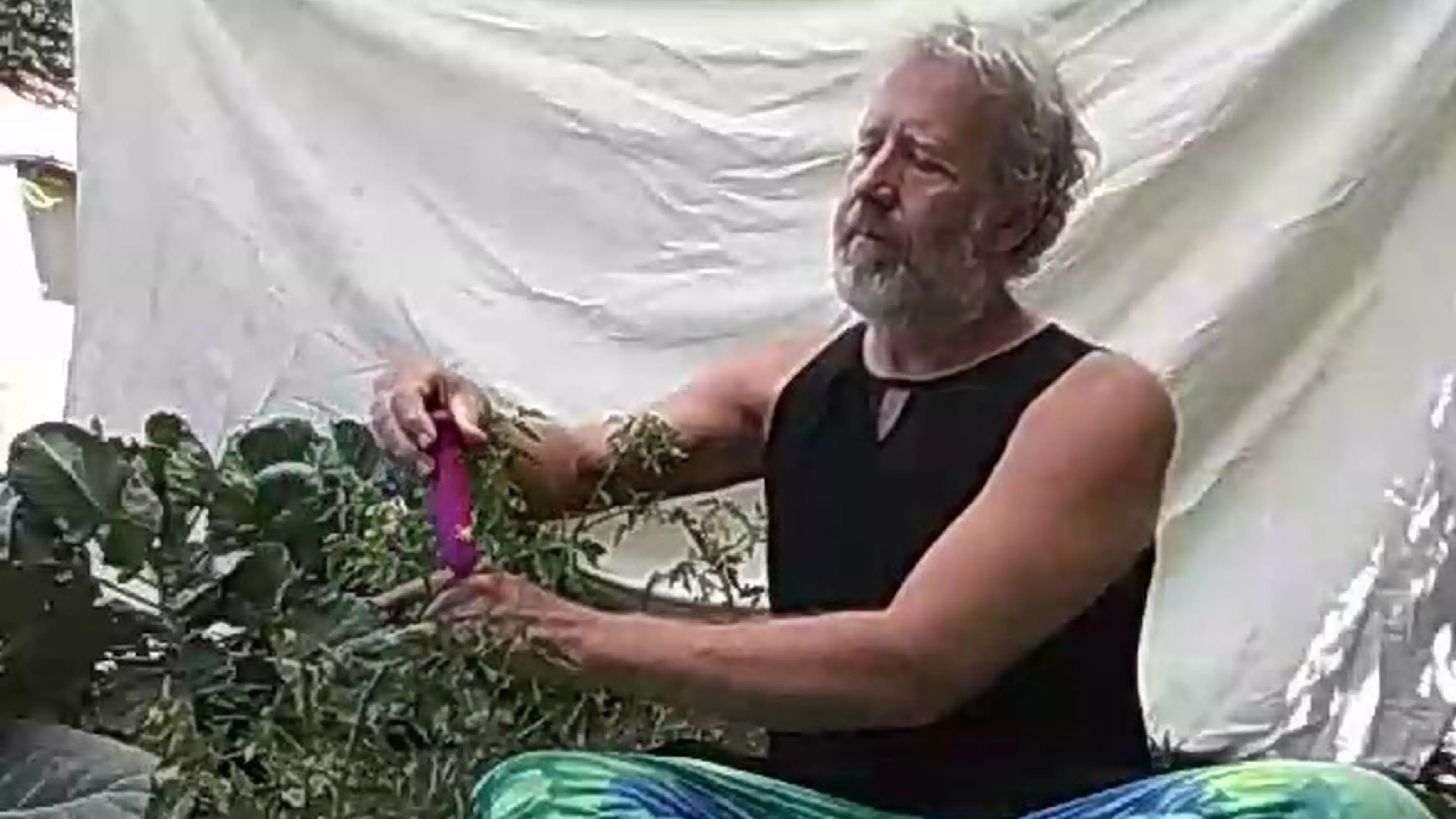 Farmer Reveals He Tickles His Plants With A Vibrator To Improve His Crop