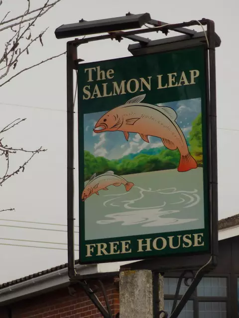 Image: Salmon Leap Pub/Google