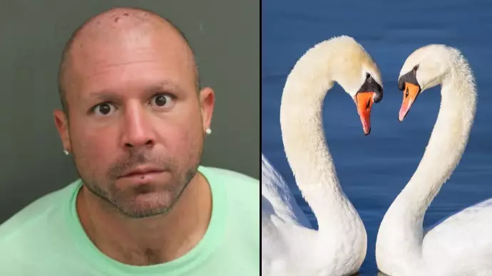 Ex-MMA Fighter Arrested For Head-Kicking Swans In Florida Was 'Practising Karate'