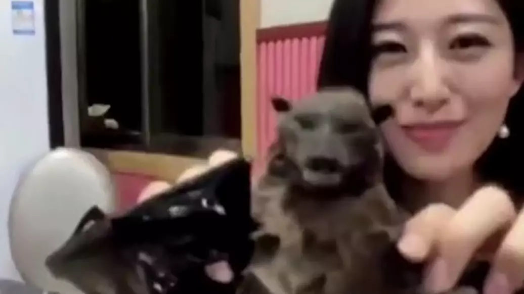 Chinese YouTuber Apologises After Bat-Eating Video Resurfaces 