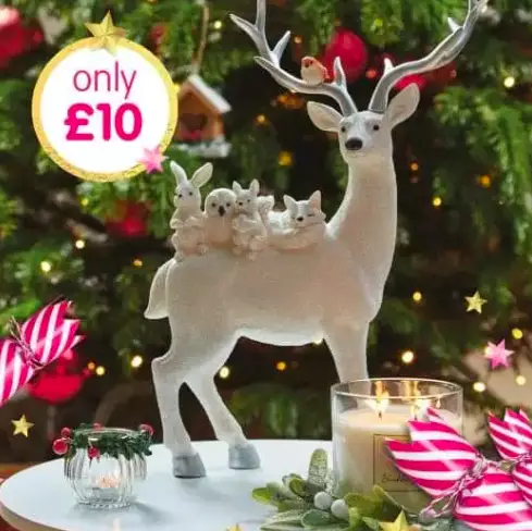 The reindeer in question is worth £10 (
