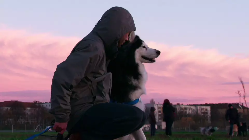 Netflix Viewers In Tears As Dog Is Reunited With Refugee Owner After Years Apart