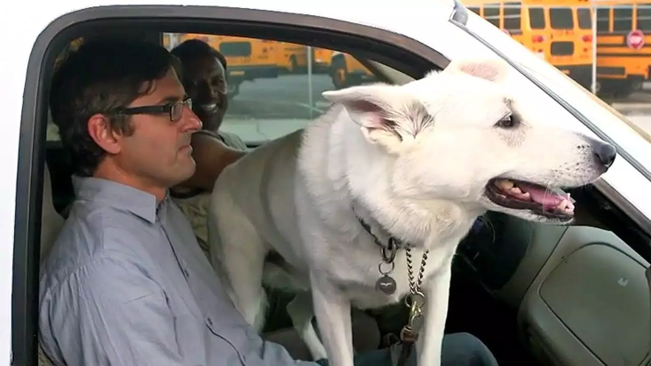 Louis meets LA's canine population in 'City of Dogs' (