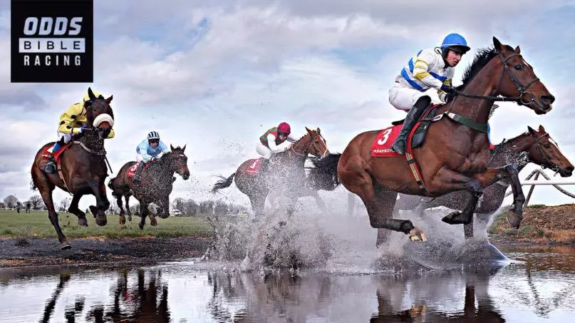 ODDSbibleRacing's Best Bets From Saturday's Action At Doncaster, Cork And More