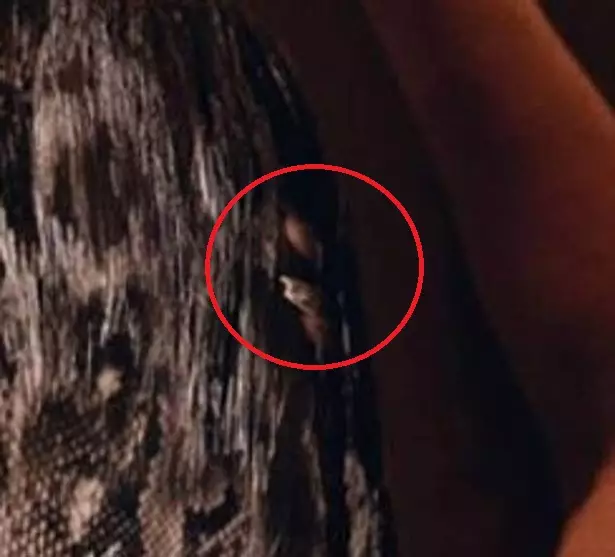 Fans reckon a snakeskin-print fingernail can be seen in her hair.