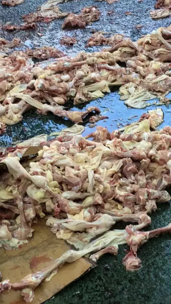 The pile of chicken was originally a foot high and covered the whole street.
