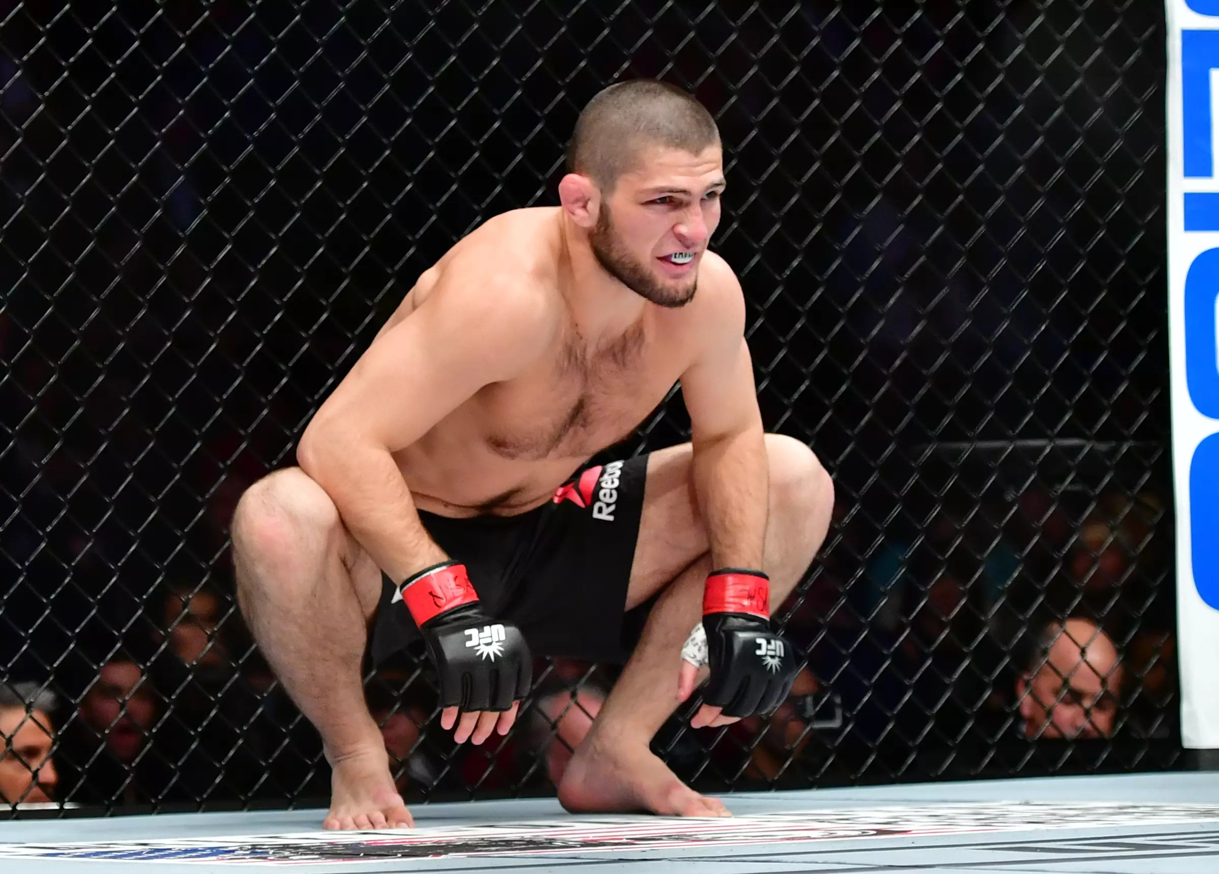 Khabib Nurmagomedov has swept all before him and is expected to continue