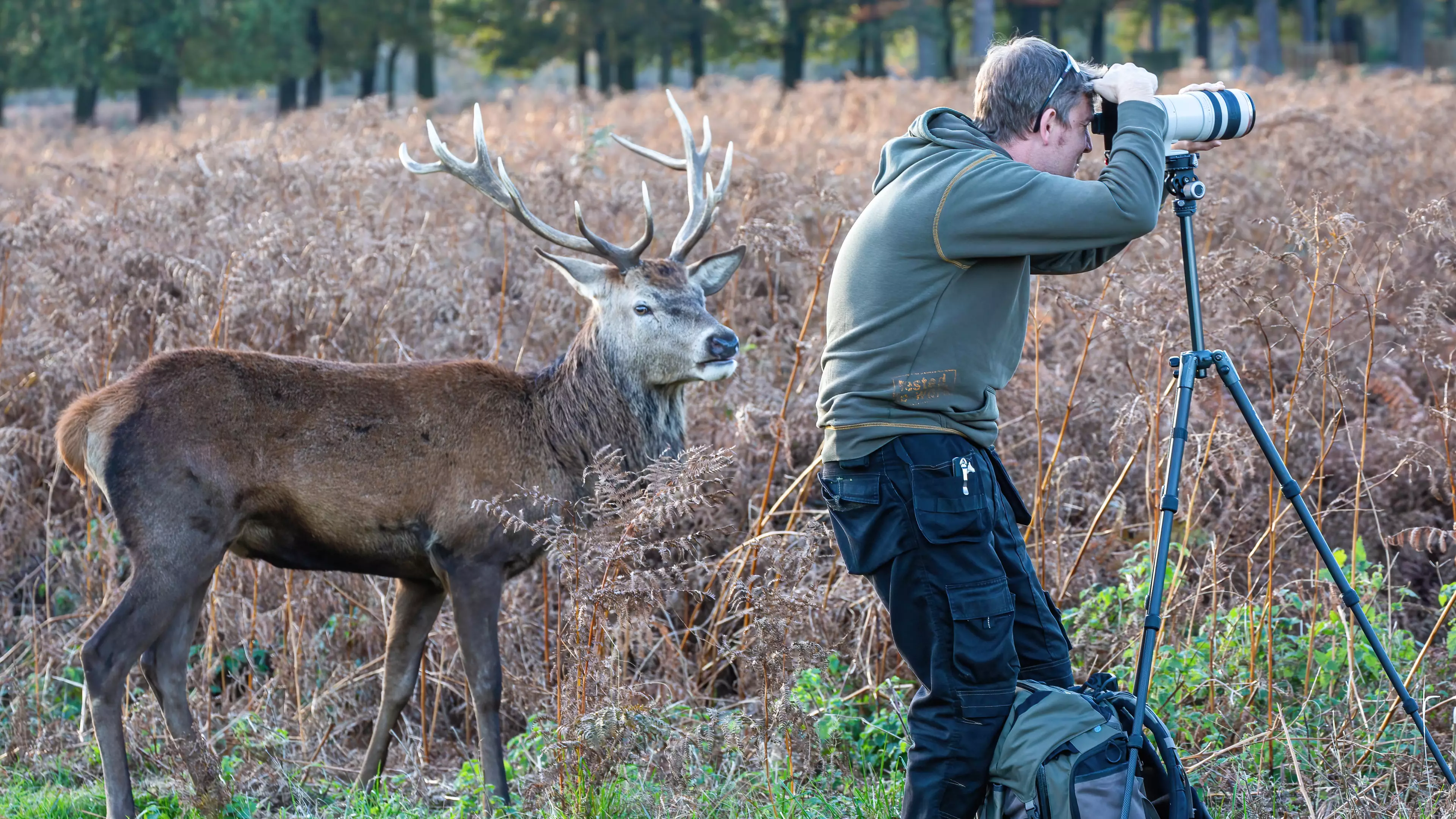 Wildlife Photographer Completely Unaware Deer Has Crept Up Behind Him 