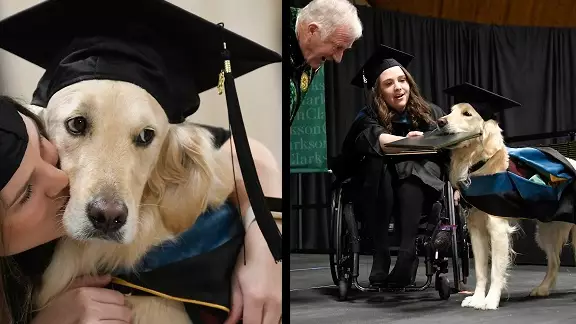 Service Dog Receives Honorary Diploma Alongside His Owner At Her Graduation