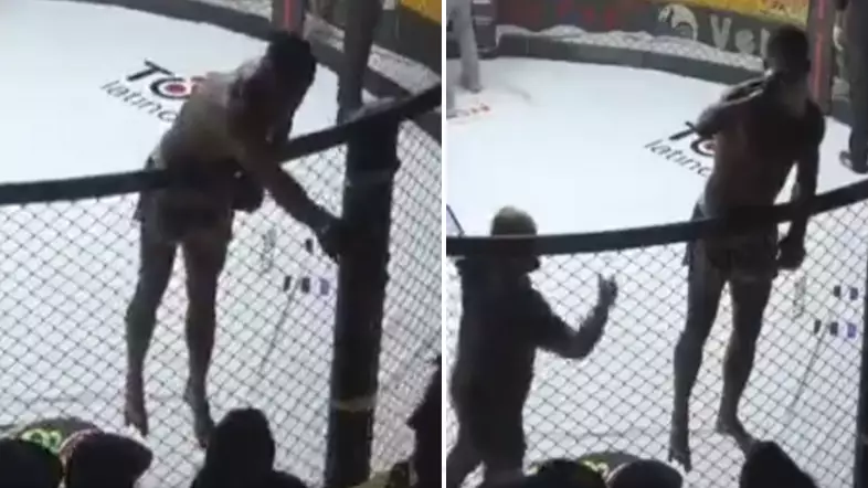 MMA Fighter Downs Fan's Beer After First Round, Goes On To Lose Fight