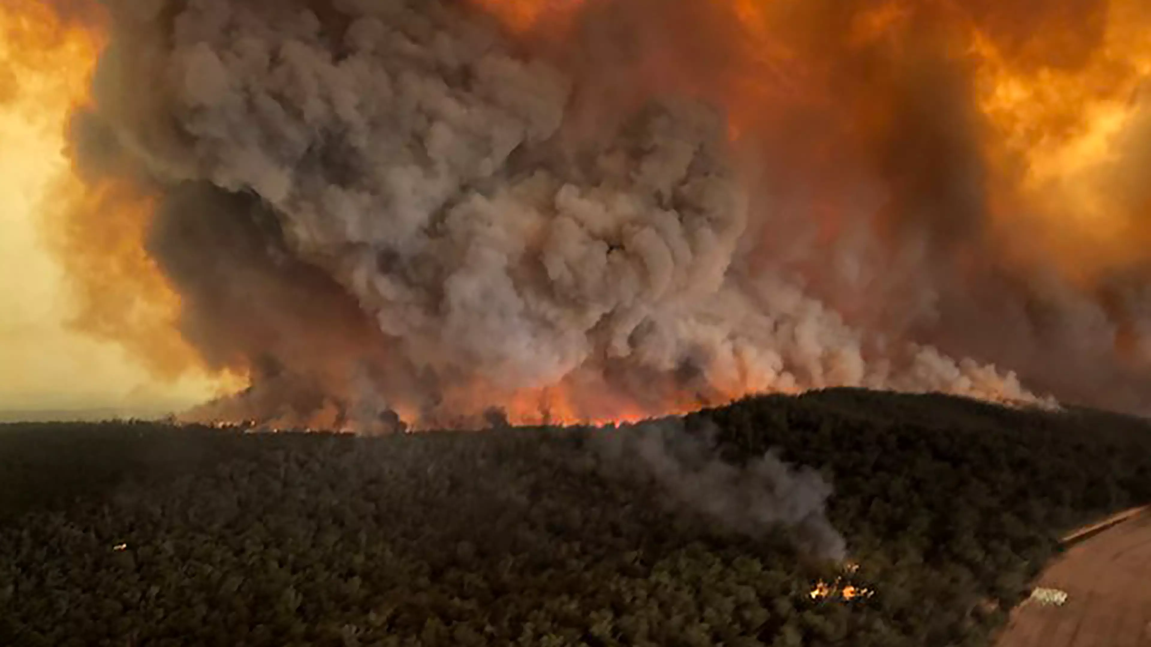Chris Hemsworth Is Donating £520k To Help Fight Aussie Wildfires