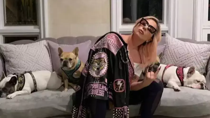 Woman Who Returned Lady Gaga's Stolen Dogs One Of Five People Charged in Connection With Crime
