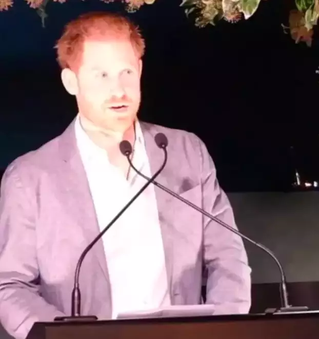 Prince Harry spoke of his 'great sadness' (