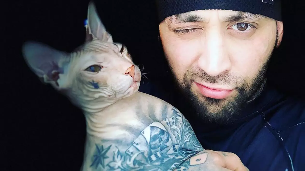 Heavily Tattooed Cat Jumps Out Of Owner's Car Window And Escapes