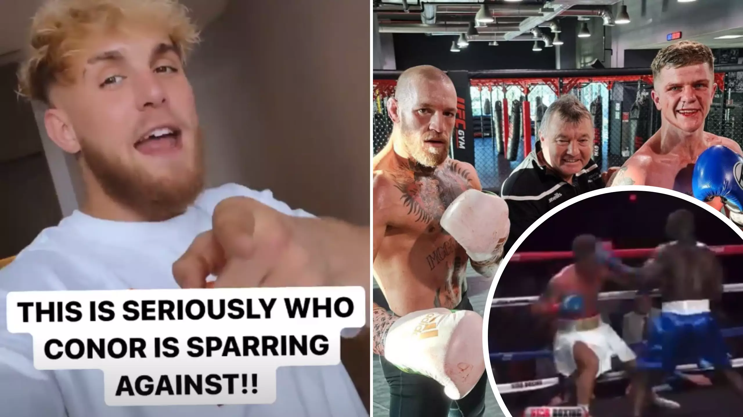 Jake Paul Calls Out Conor McGregor Protege For Next Fight As Feud Heats Up