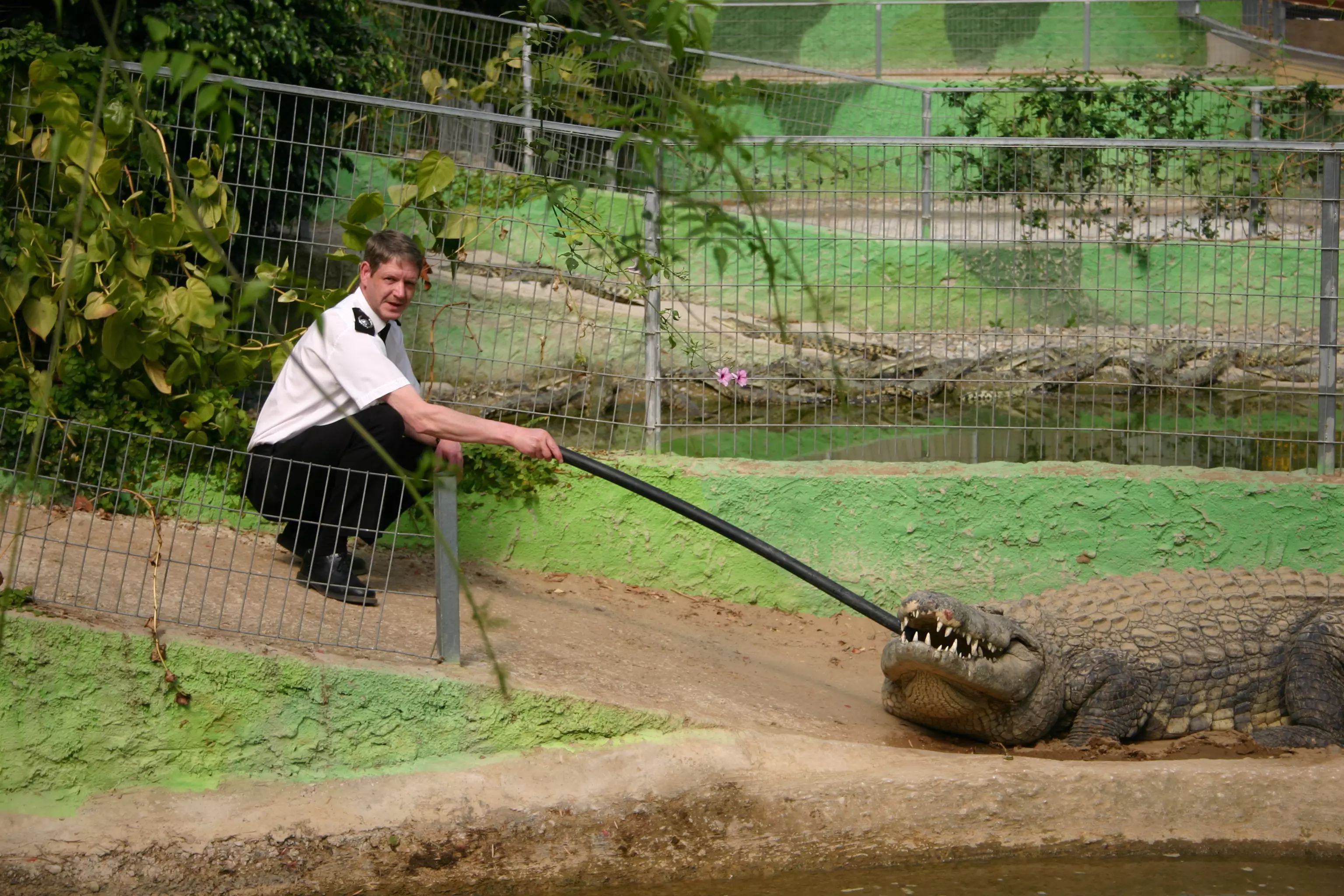 SPCA chief superintendent Mike Flynn in Spain after re-homing the reptile.