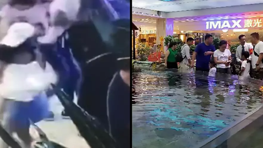 Shark Bites Little Girls Hand In Shopping Centre Fish Tank