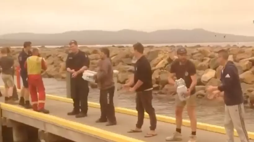 Locals Form Human Chain To Help Deliver Much Needed Supplies In Mallacoota