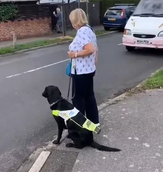 If someone with a guide dog rests the handle on their dog's back, they need help.