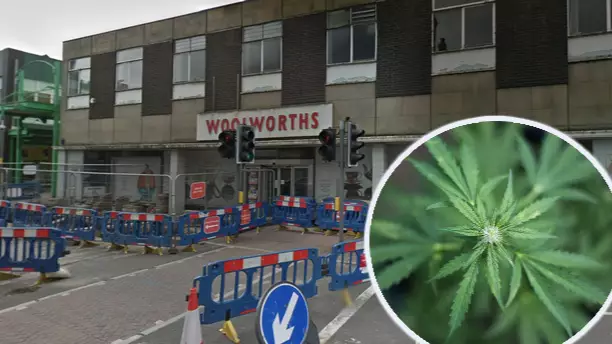 Police Find Thousands Of Cannabis Plants Inside Abandoned Woolworths Store