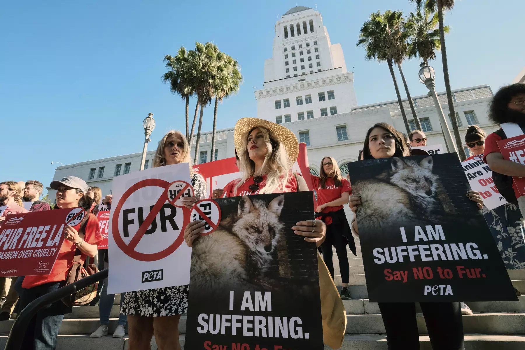Animal rights' groups have praised the move.