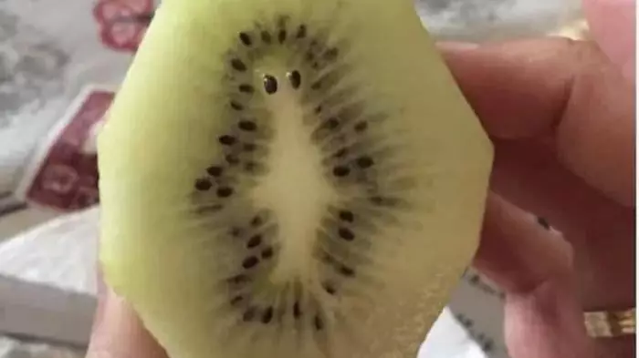 Person Finds ‘Alien Mr Burns’ In Their Kiwi Fruit