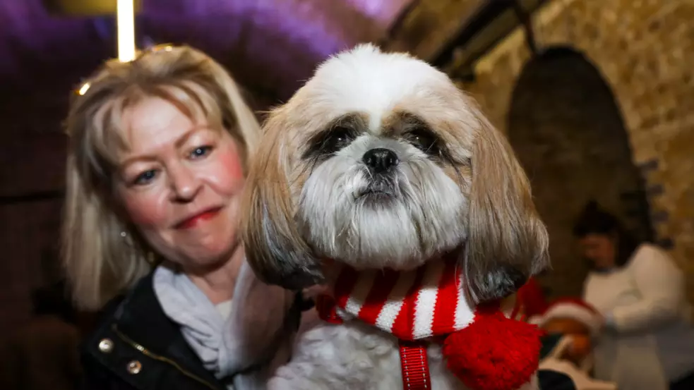 An Entire Christmas Market Devoted To Dogs Is Coming To The UK
