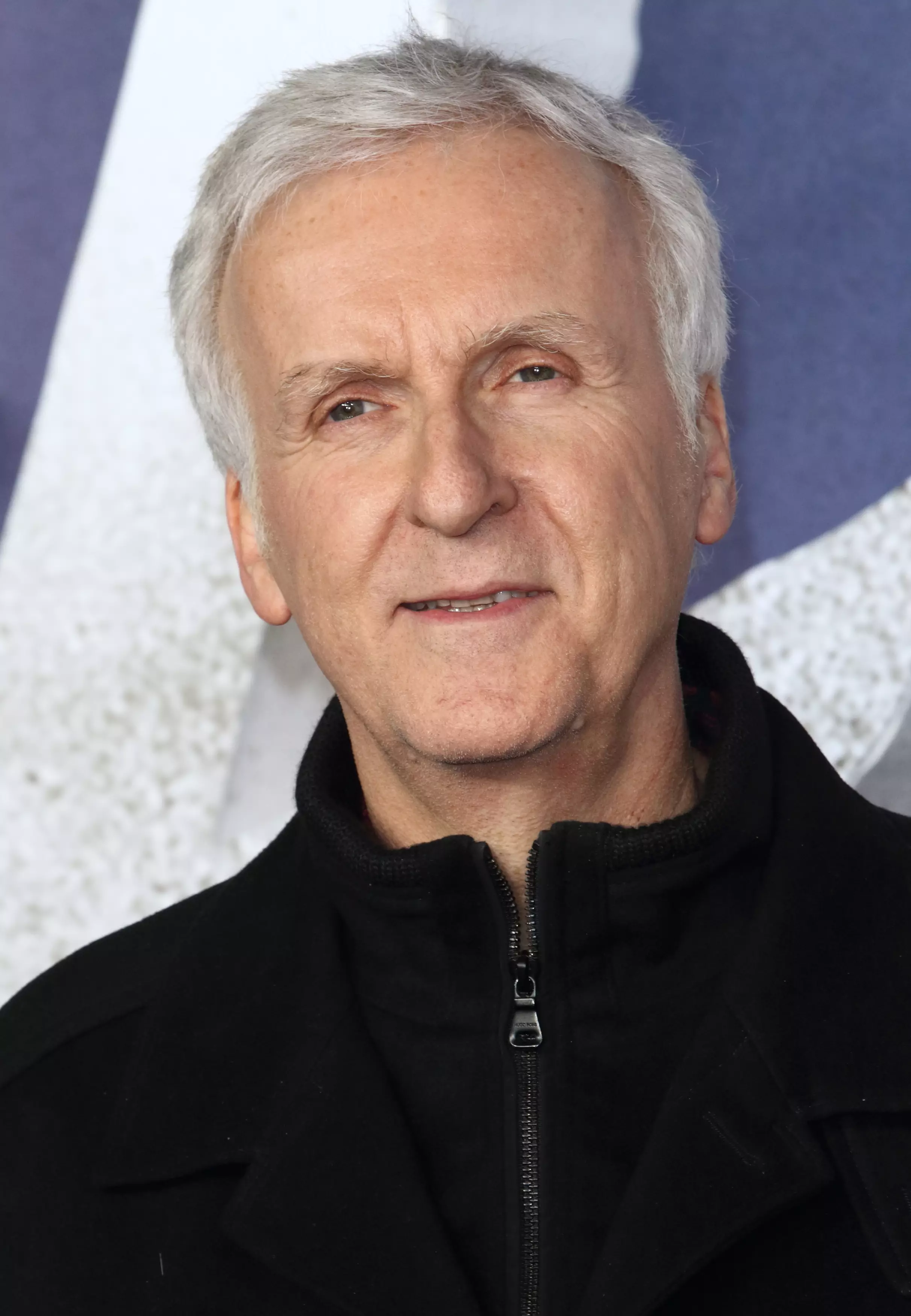 James Cameron has announced filming of 'Avatar 2' is 100 per cent complete (