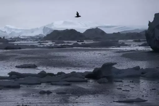Climate Change Could Be Causing Weird Stuff To Go Down In The Arctic