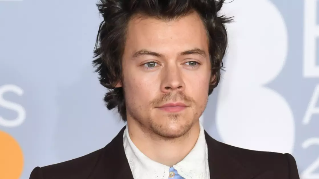 Harry Styles Trolls 'Bring Back Manly Men' Comments With New Photo
