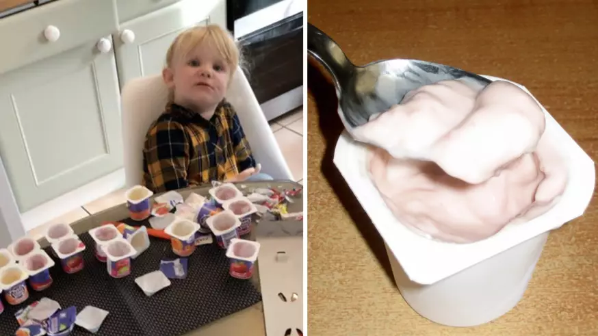 Dad Left His Daughter Alone For 10 Minutes And She Devoured 18 Yogurts By Herself