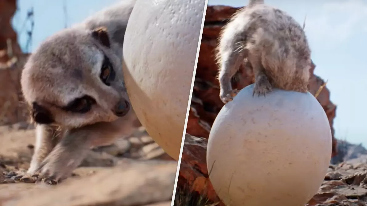 Mind-Blowing Unreal Engine Demo Showcases Photorealistic Animals And Environments 