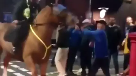 Man Attempts To Punch Police Horse After Portsmouth Vs Southampton Match